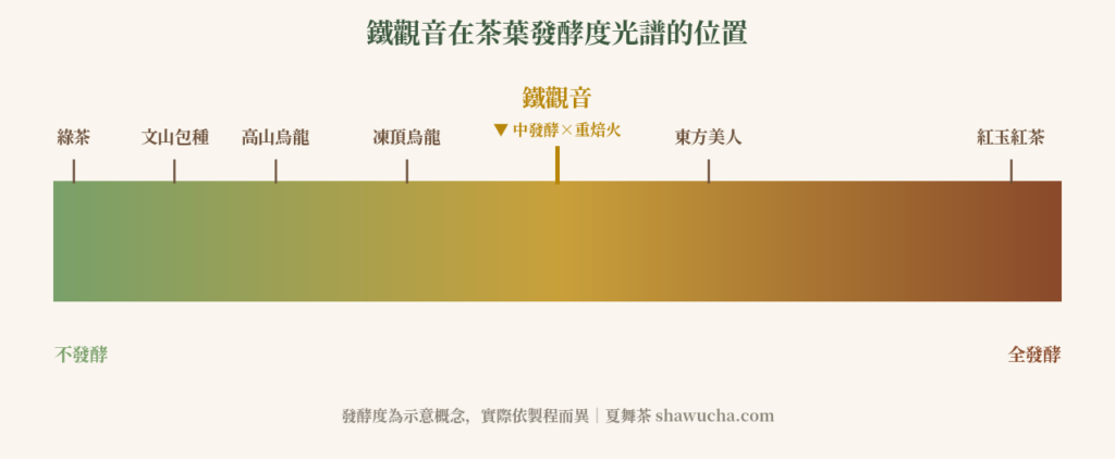 烏龍茶發酵度光譜:鐵觀音在六大茶類的位置